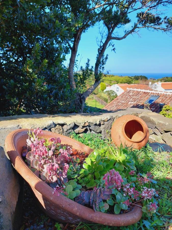 Villa Casas Do Tareco Biscoitos  Esterno foto